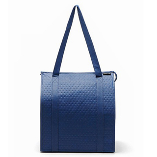 Portable practical non woven insulation bag