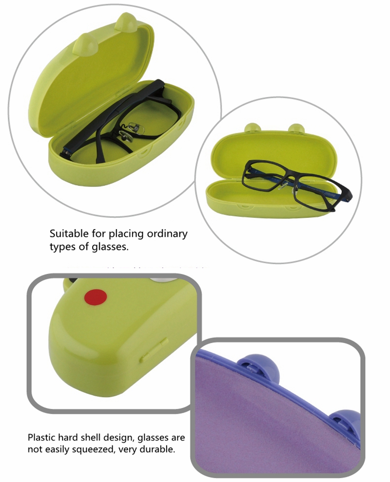 plastic glasses case (2)