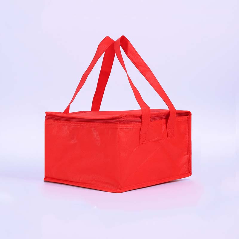 China supplier profession custom practical portable large outdoor picnic insulation bag for wholesale
