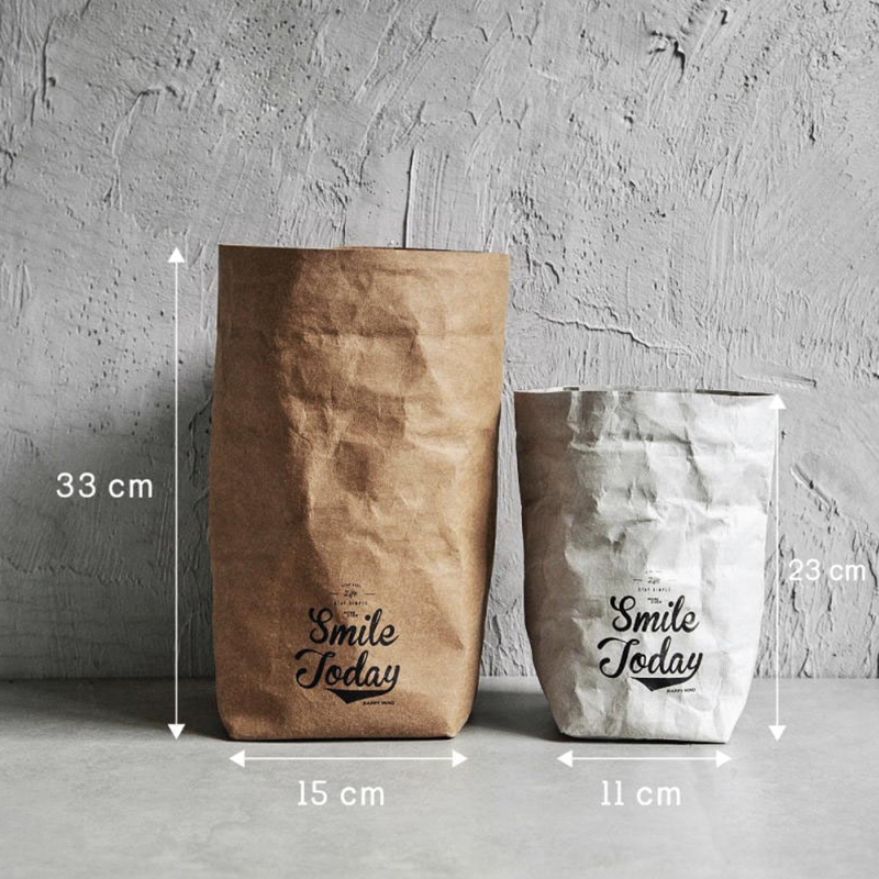 Ins style waterproof DuPont paper insulation bag lunch bag portable thick eco friendly tyvek paper bag