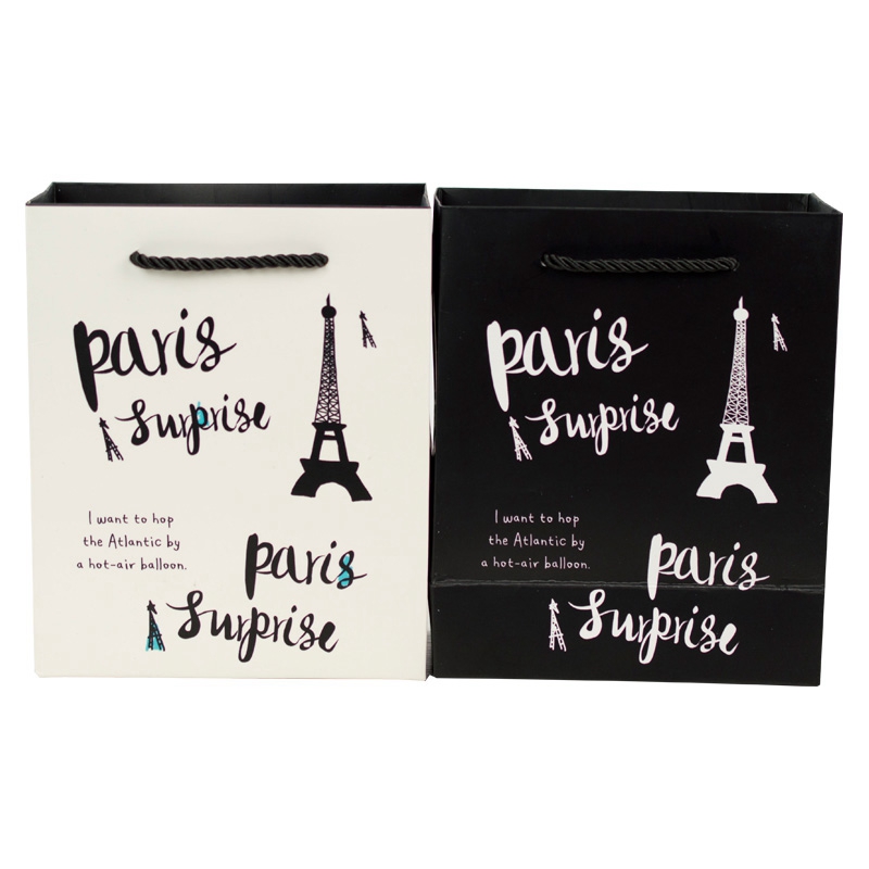 Custom luxury printed paper shopping bag with rope handle gift bag