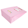 Wholesale high quality paper gift bags party favor cookie candy treat bag
