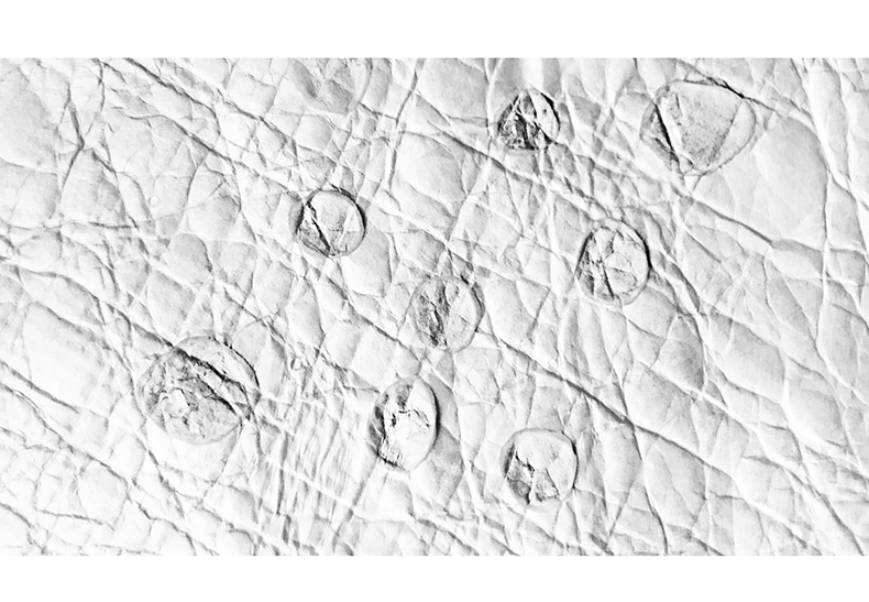 tyvek makeup bag (11)