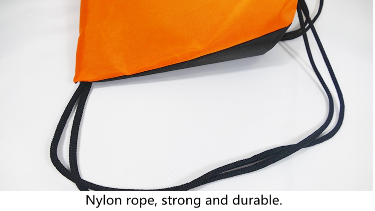 polyester backpack (3)