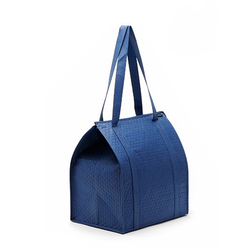 Portable practical non woven insulation bag