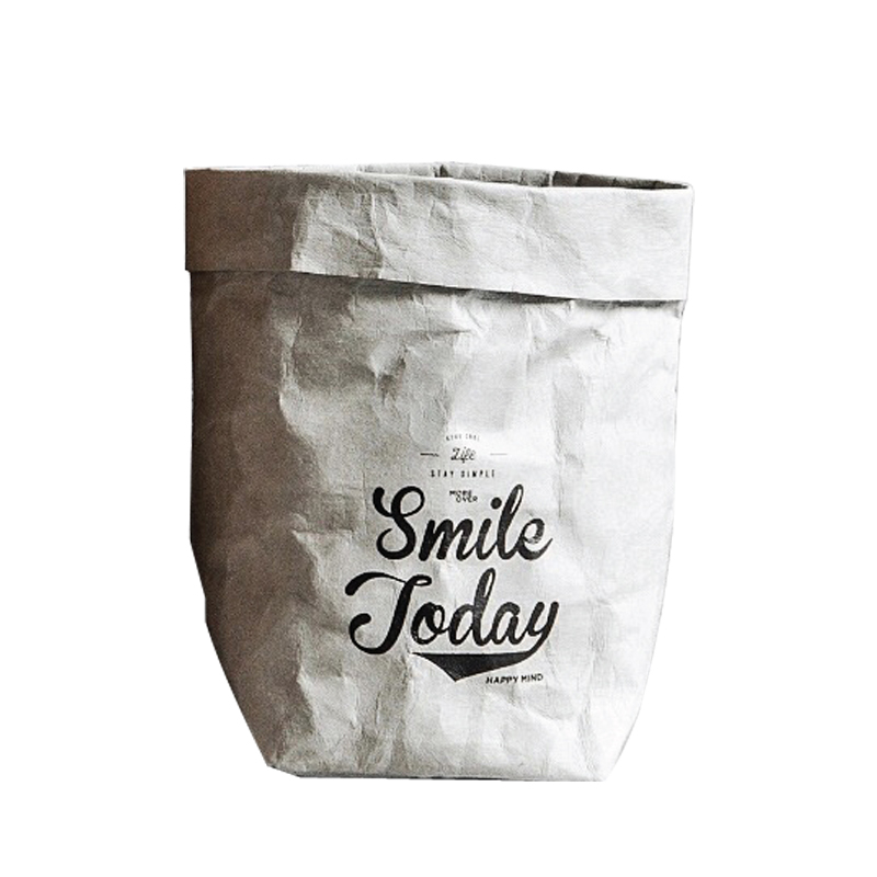 Ins style waterproof DuPont paper insulation bag lunch bag portable thick eco friendly tyvek paper bag