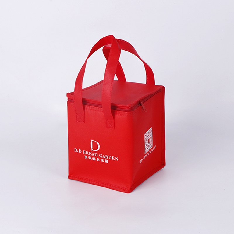 China supplier profession custom practical portable large outdoor picnic insulation bag for wholesale