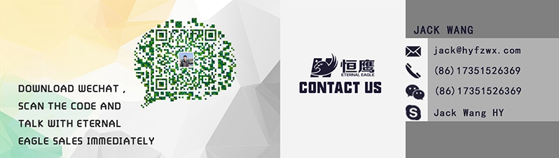 shoe storage bag (3)