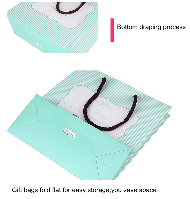 paper bag (8)