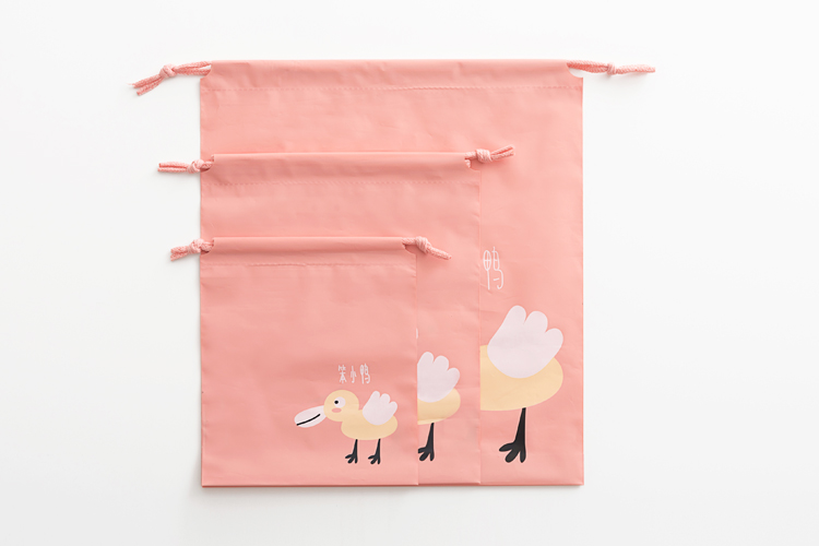 PE drawstring bag (10)