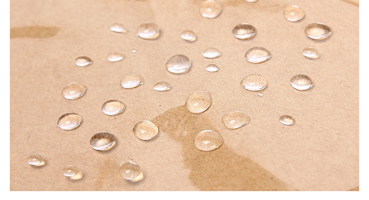 PVC kraft paper bag (11)