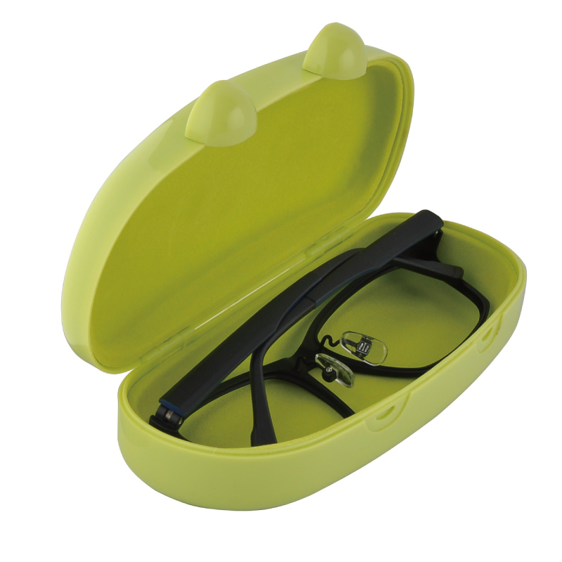 plastic glasses case (5)