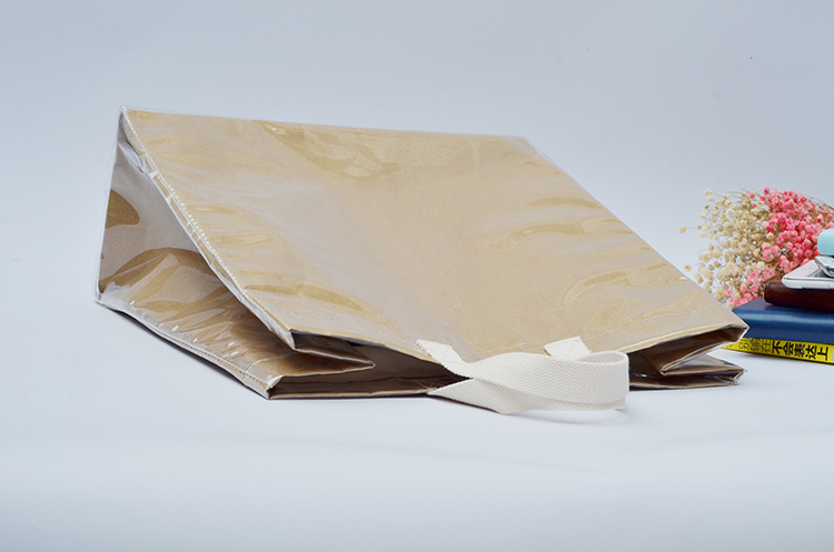 waterproof paper bag (10)