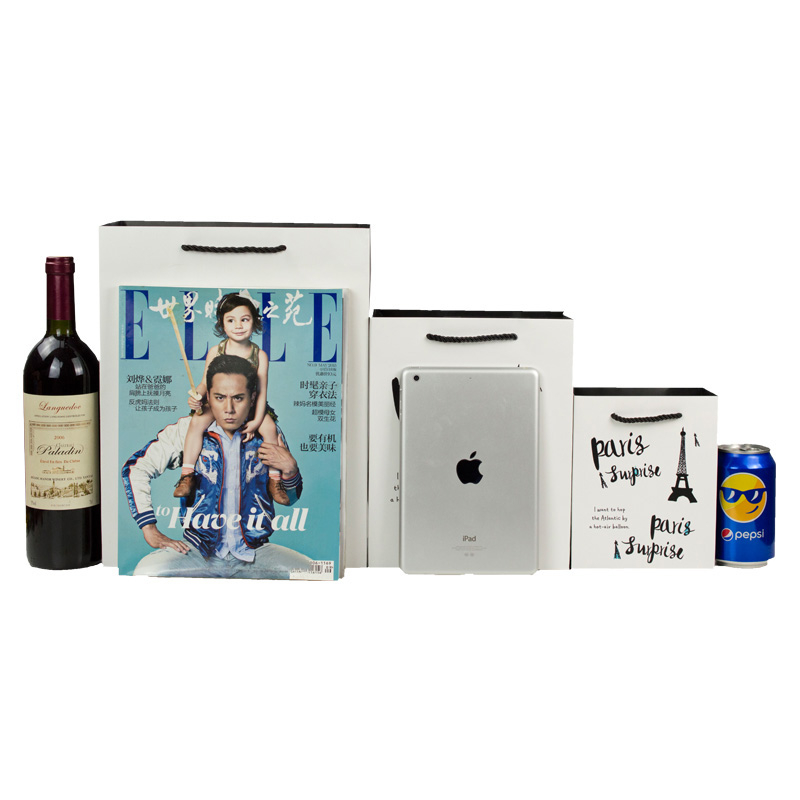 Custom luxury printed paper shopping bag with rope handle gift bag