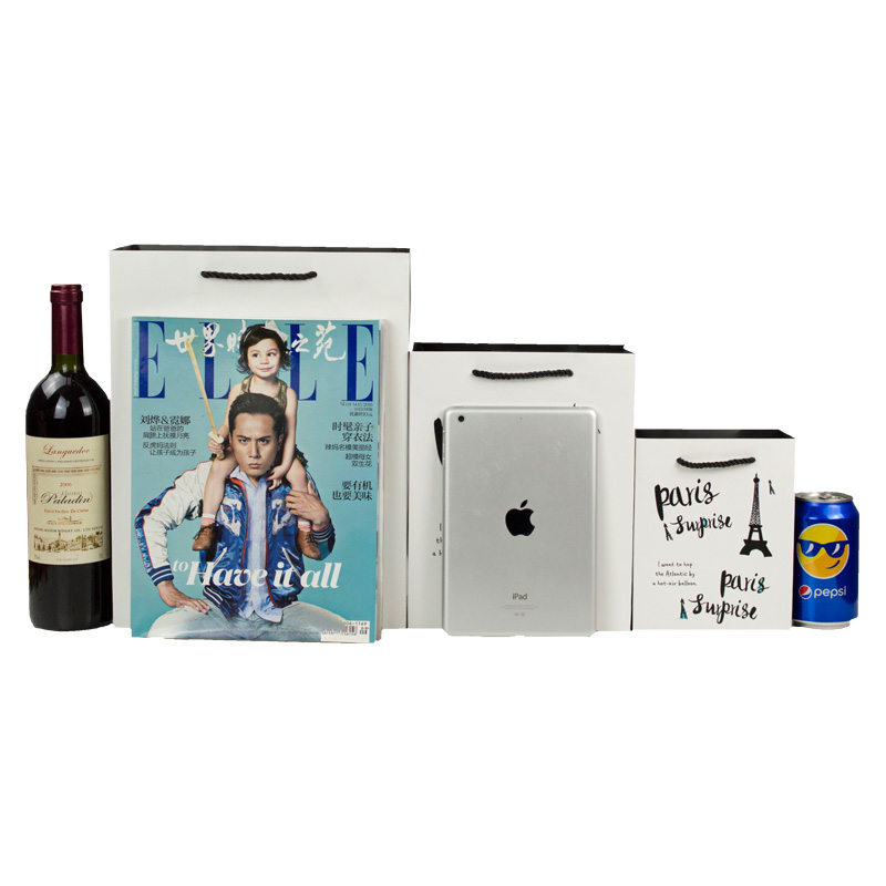 Custom luxury printed paper shopping bag with rope handle gift bag