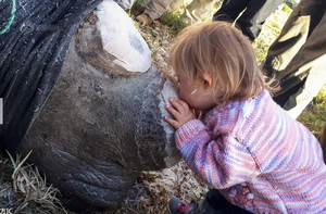 Kiss by a lovely girl.png