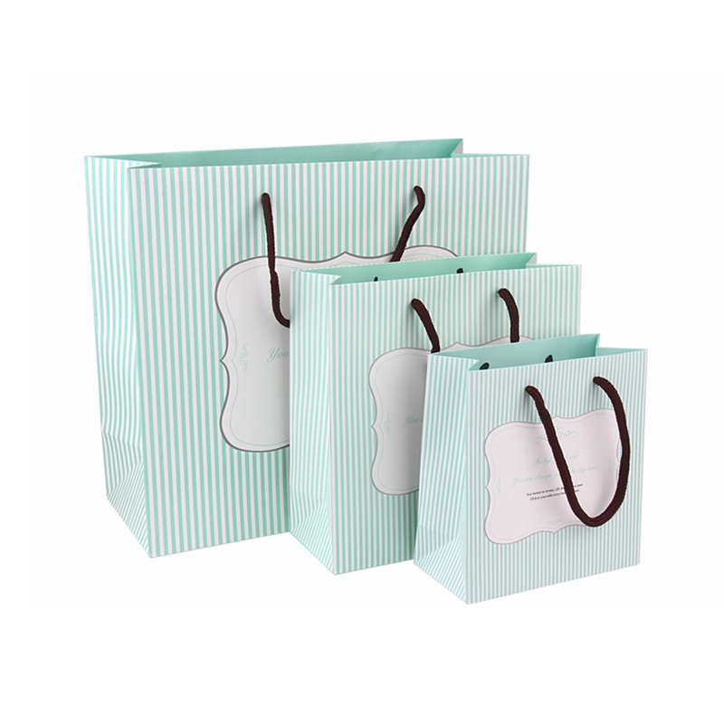 Factory customize coated fold able paper bag for luxury gift paper shopping bag