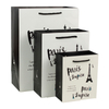 Custom luxury printed paper shopping bag with rope handle gift bag