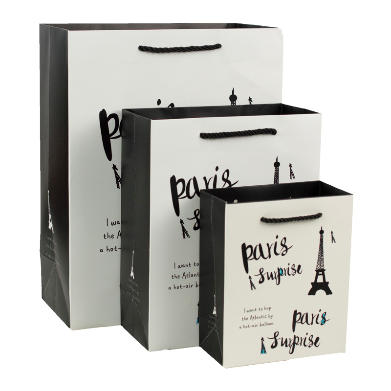 Custom luxury printed paper shopping bag with rope handle gift bag