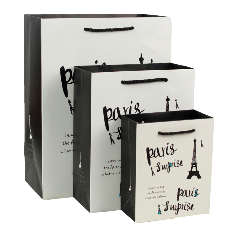Custom luxury printed paper shopping bag with rope handle gift bag