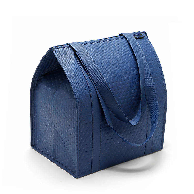 Portable practical non woven insulation bag