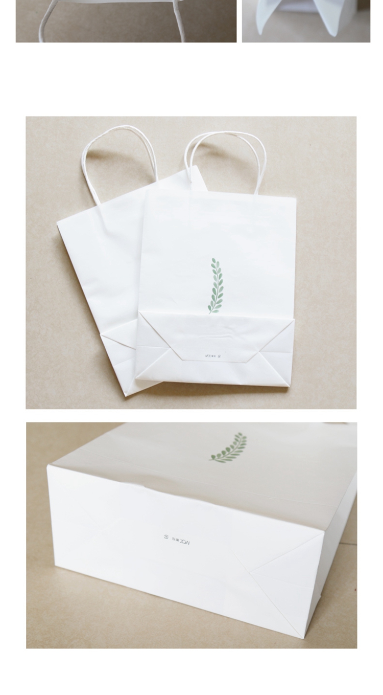 paper bag (9)