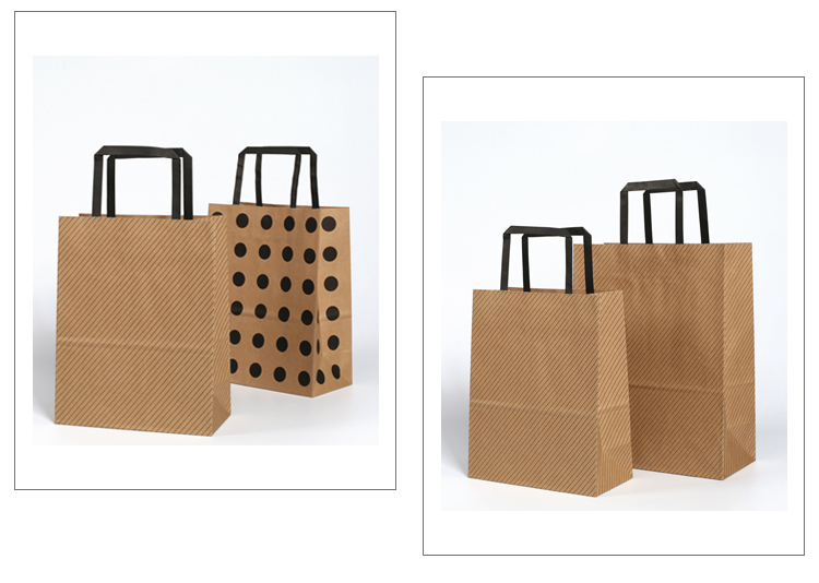 paper bag (3)