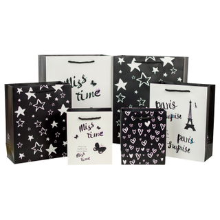 Custom luxury printed paper shopping bag with rope handle gift bag