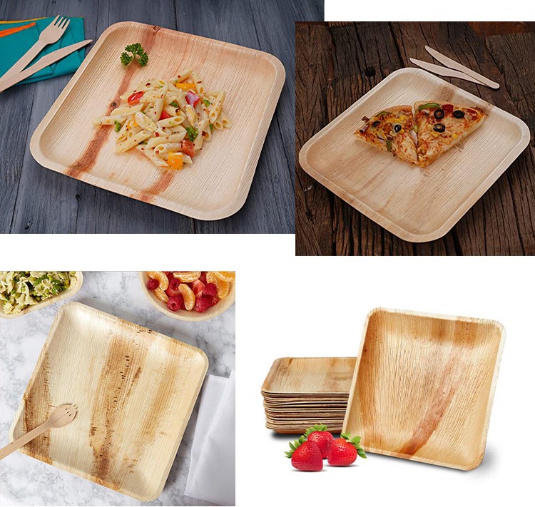 palm leaf plates (4)