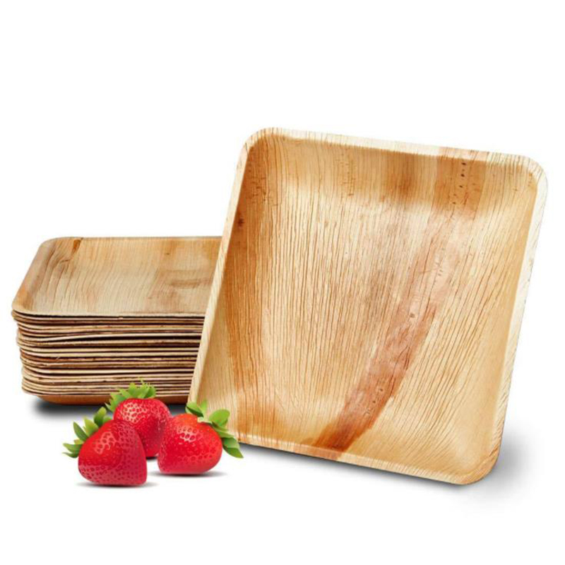 palm leaf plates (3)