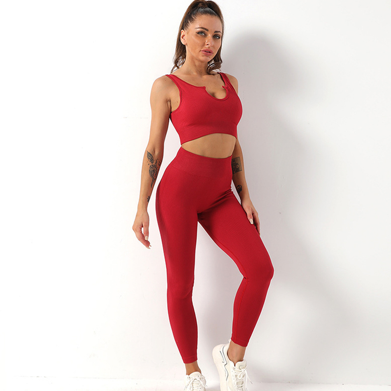 Amazon Top Selling Breathable Quick Dry U Type Fitness Yoga Bra And Yoga Leggings Bodysuit for Women 