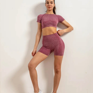 Custom Sports Gym Fitness Yoga Sets Butt Lift 2 Piece Activewear Fitness Workout Yoga Sport Bodysuit For Women