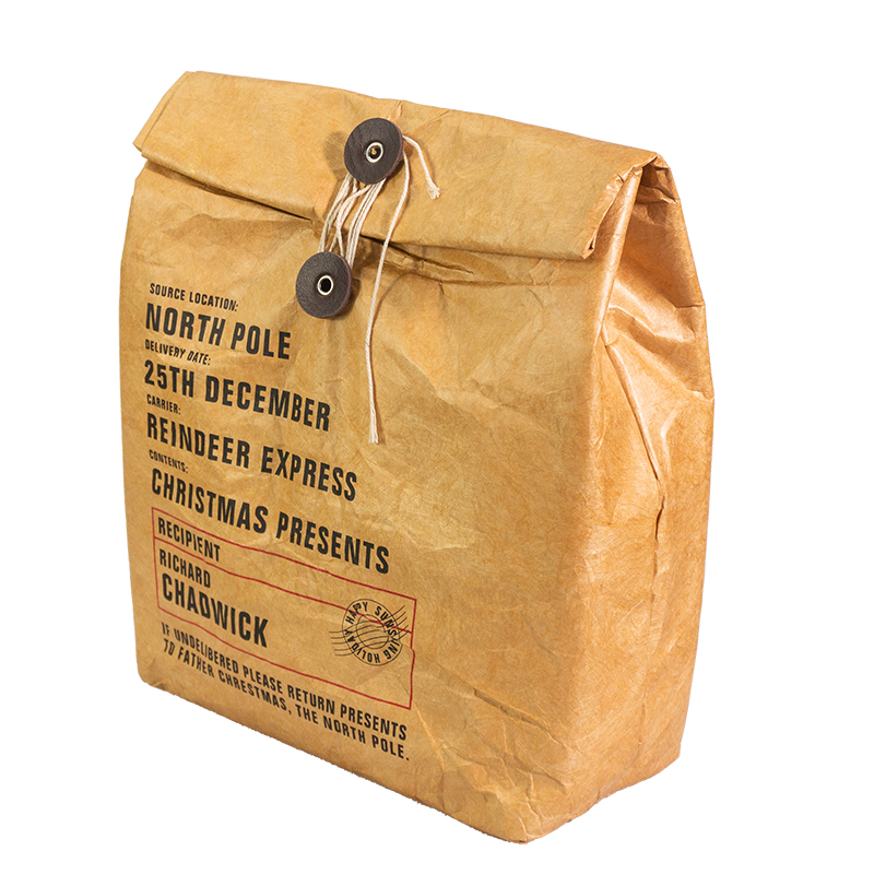 tyvek cooler bag (2)