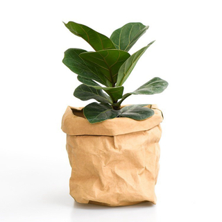Nordic ins Foldable wear resistance versatile washable kraft paper bag plant flower storage ornaments