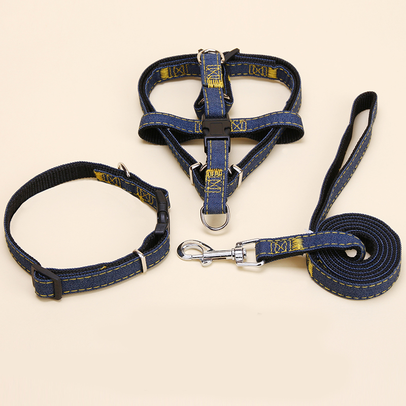 dog leash (4)