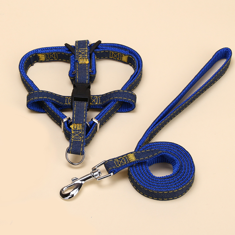 small medium and large dog chain dog leash from China Supplier