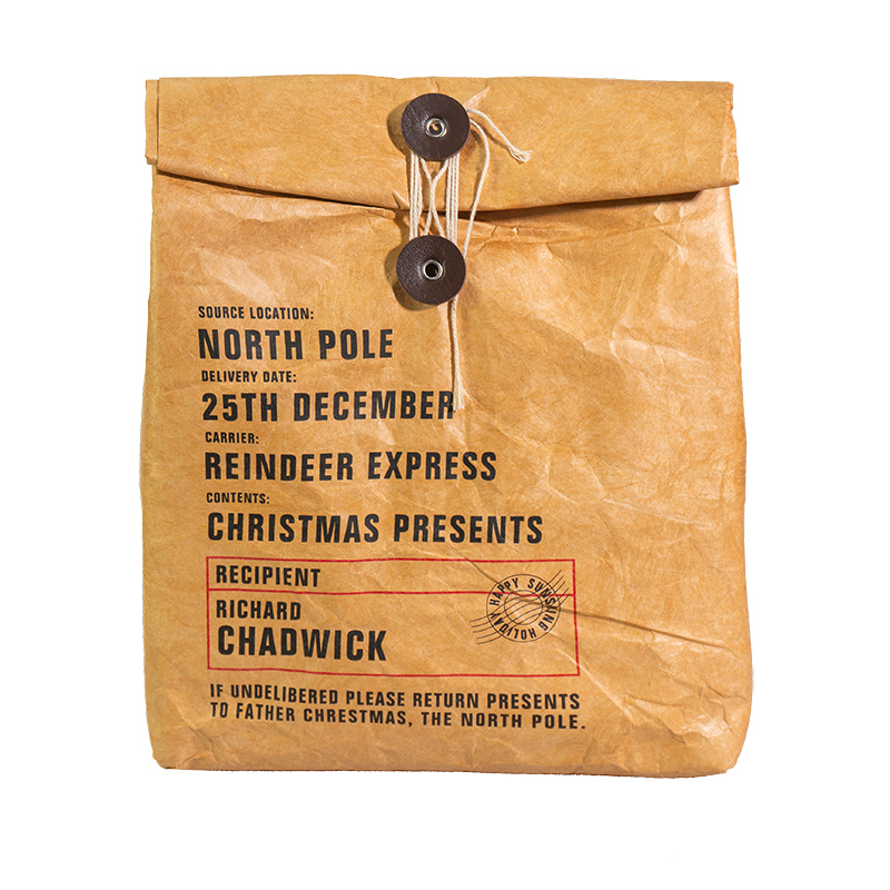 tyvek cooler bag (1)