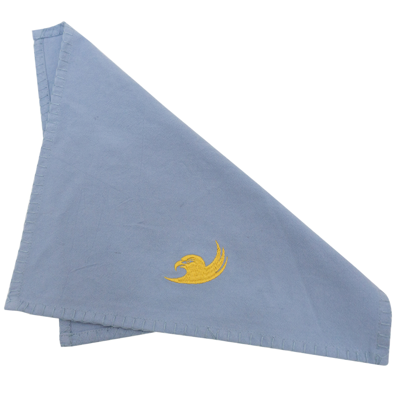 cotton linen napkin (2)