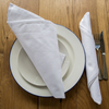 White 100%cotton restaurant cloth western restaurant cloth napkin cushion