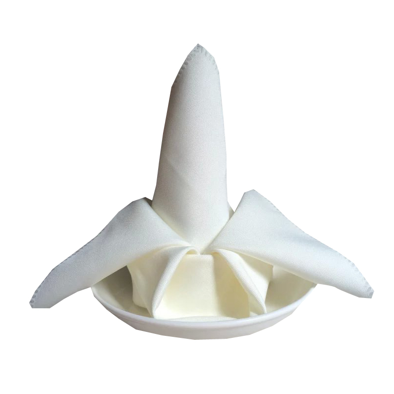 napkin (3)