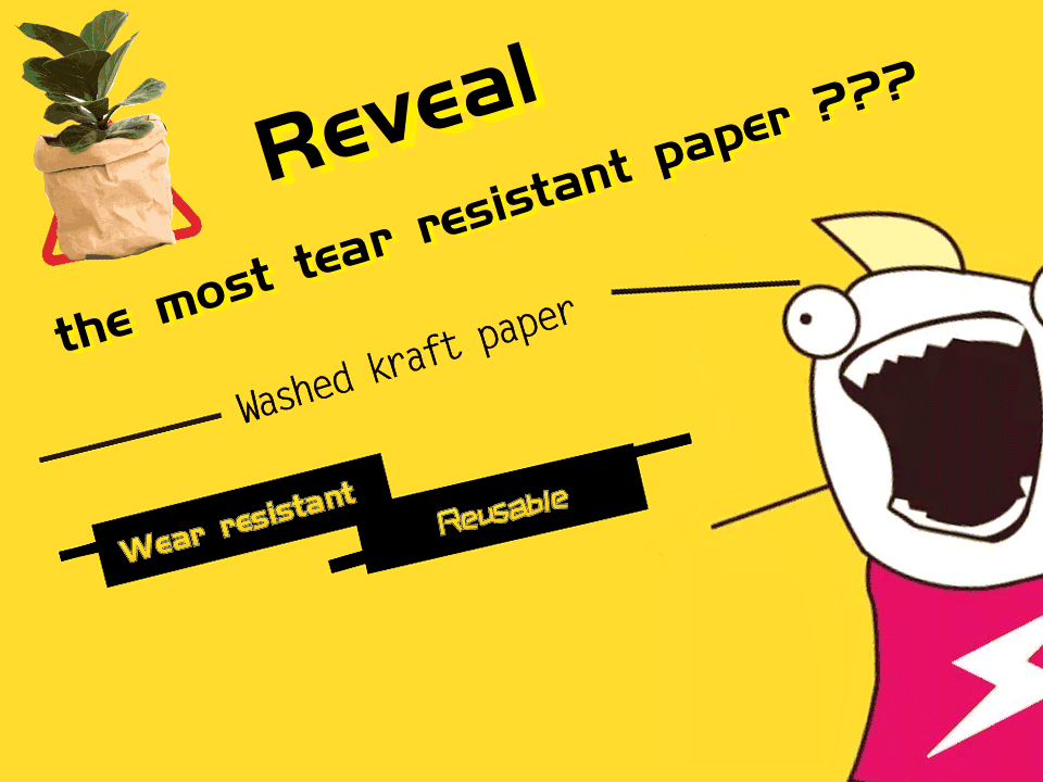 washed kraft paper bag