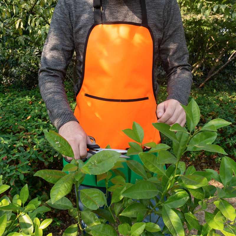 garden apron (1)
