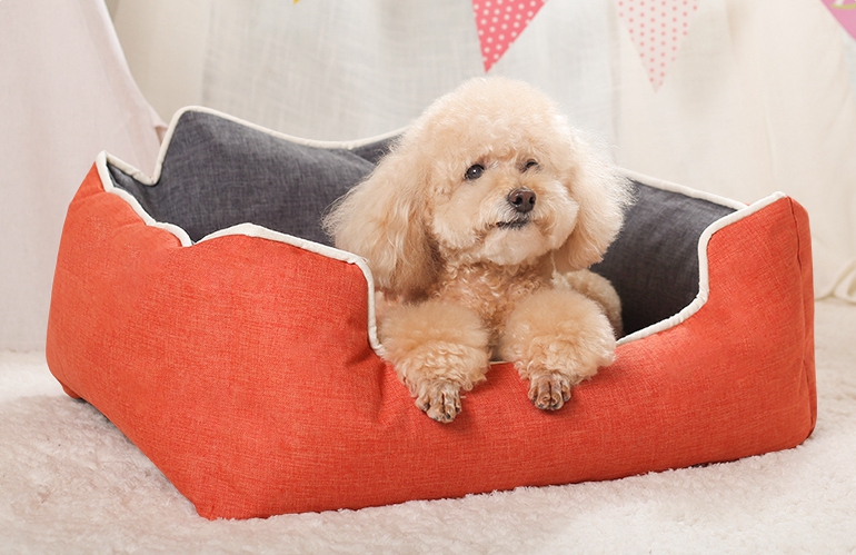 Pet supplies kennel winter warm washable small dog medium and large dog general use doghouse