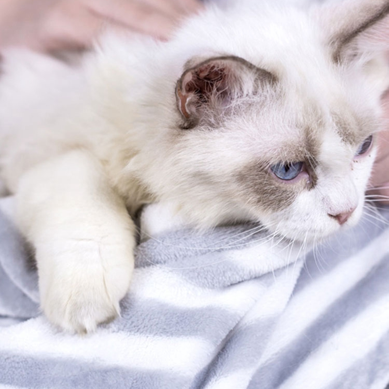 Pet chest holding cat anti-hair apron out portable cat bag clothes apron