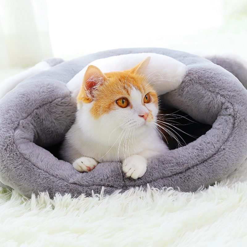 O1CN017CMYDF24Nd7wnECfG_!!704407379